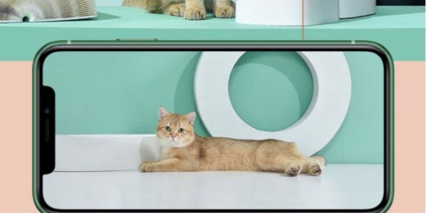 智能家居-寵物喂食器的特點(diǎn)